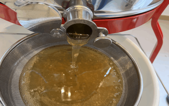 Honig – wie hoch sind Ihre Produktionskosten?