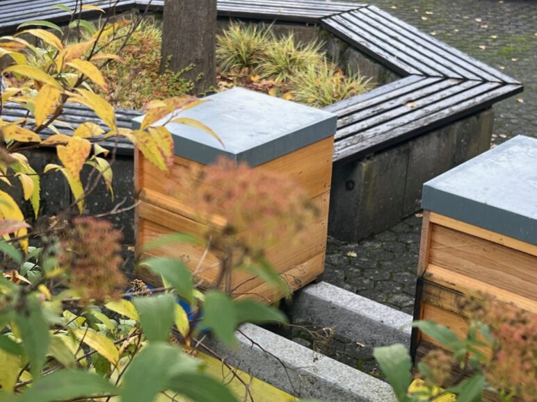 Umfrage zu Völkerverlusten