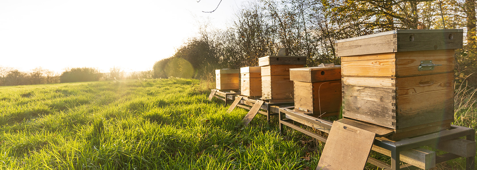 Das D.I.B.-Magazin Ausgabe 9 / 2025