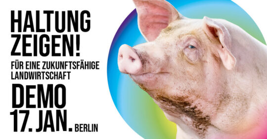 Demo in Berlin: „Wir haben es satt!“