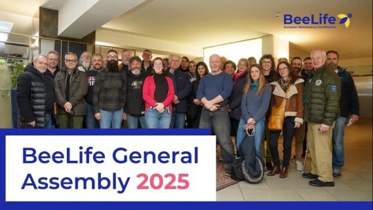 BeeLife – für Bienen, Bestäuber und Biodiversität