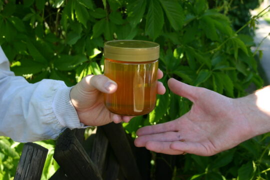 Korrekt kennzeichen: Woher kommt der Honig?