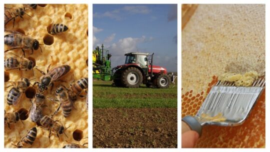 Imkerei benötigt stimmige Politik