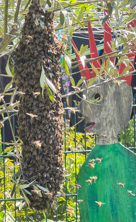 Ausflug im Garten - Marion Krüger-Fuß