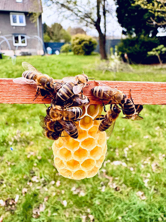 Der Frühling ist da - Sandra Tenambergen