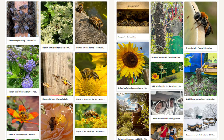 Welt der Bienen und der Imkerei