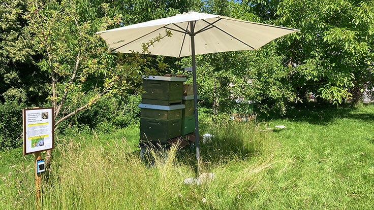 Sommerhitze - Martina Baer-Brunke