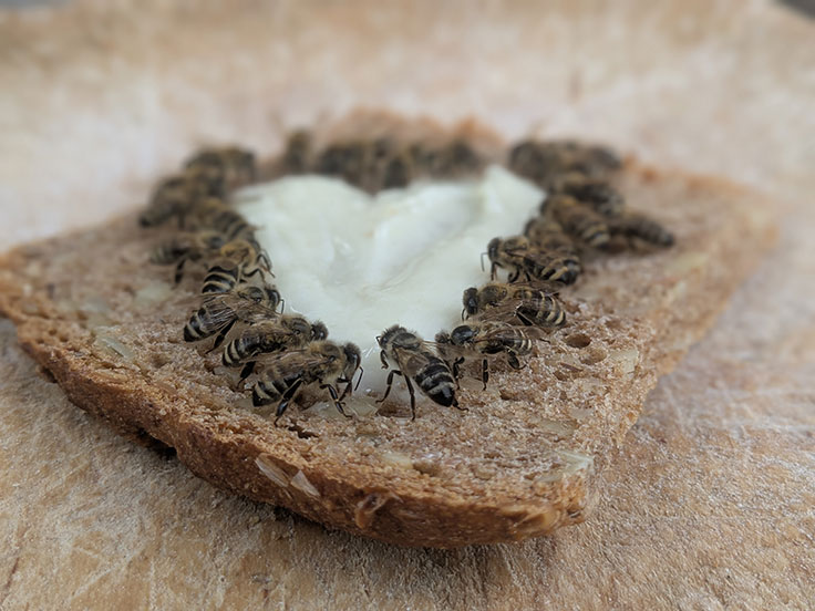 Unser täglich Brot - Franz Pointner