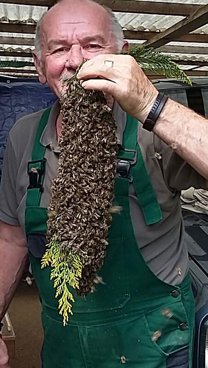 Bart - Kann jeder, ich trage Bienenschwarm - Hugo Silbernagel