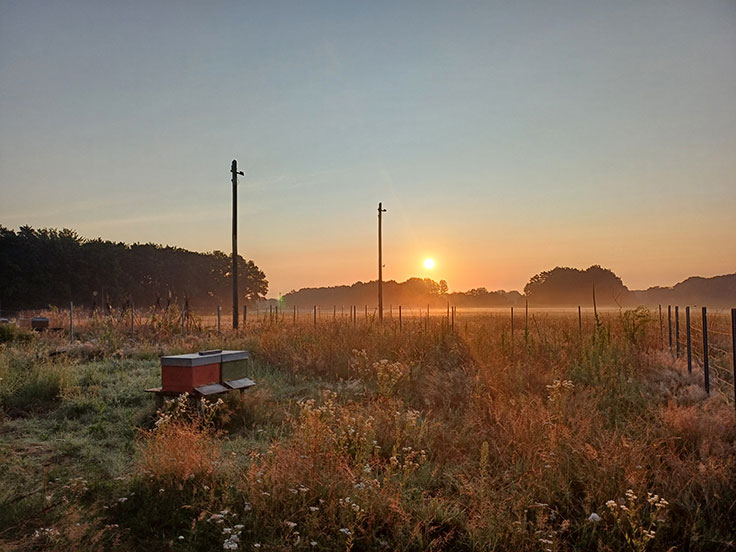 Morgenstimmung - Heidi Jürgensmann