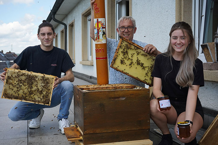 Schulimkerei mit Bienen und ihren Produkten - Dr. Thomas Ochs