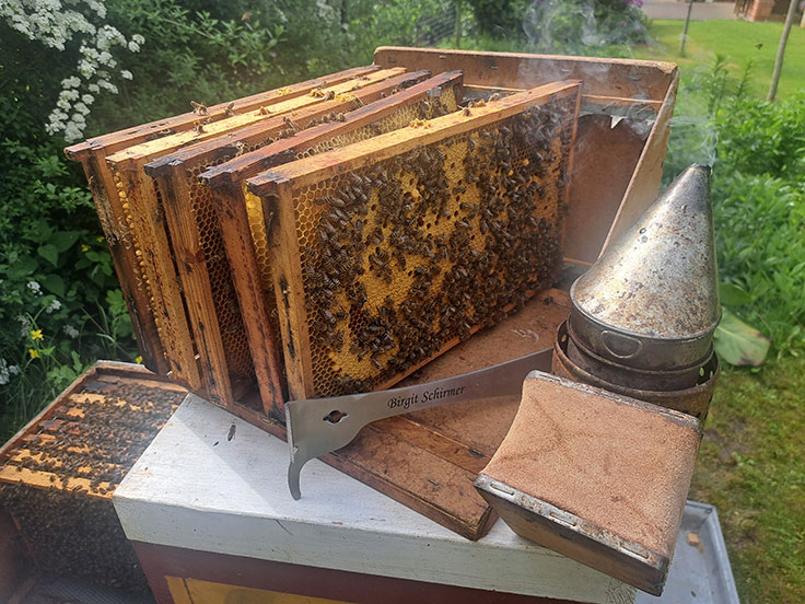 Bienensommer - Birgit Schirmer